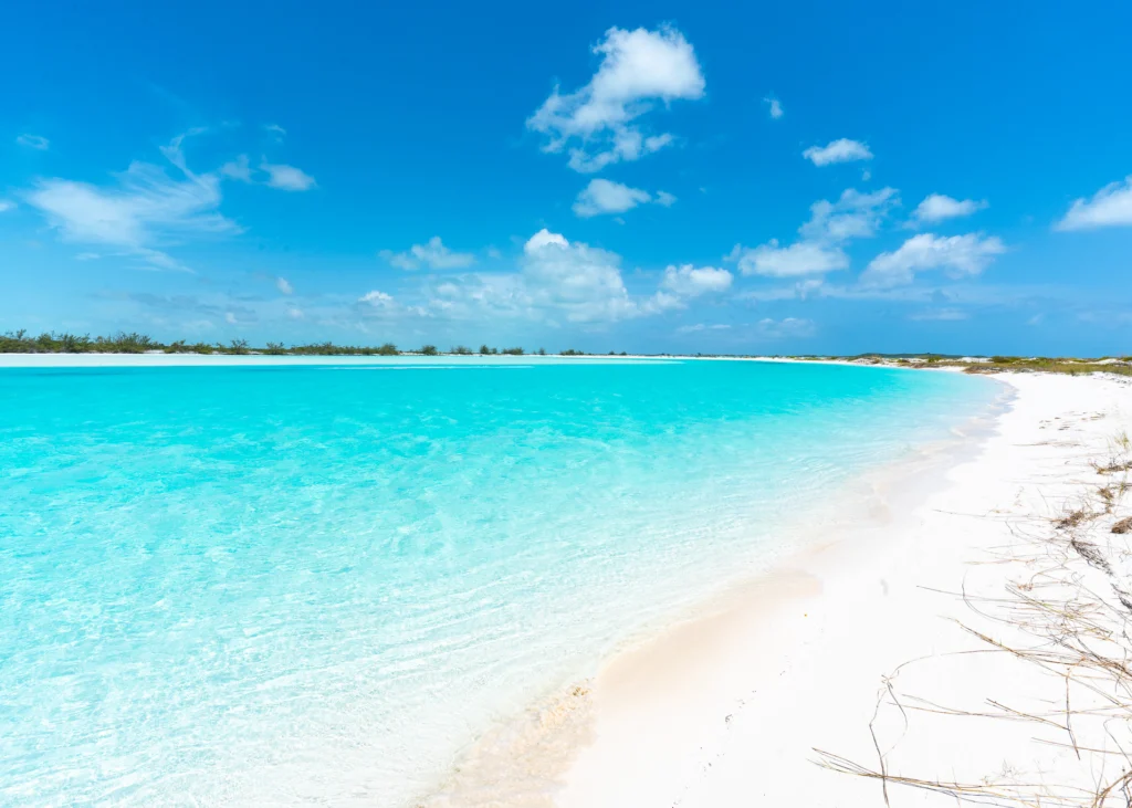Please support your community with a year-end donation to the Friends of Exuma Community Fund